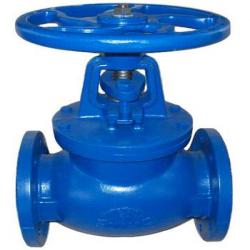 BS5163 globe valve